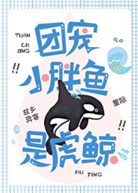 团宠小胖鱼是虎鲸